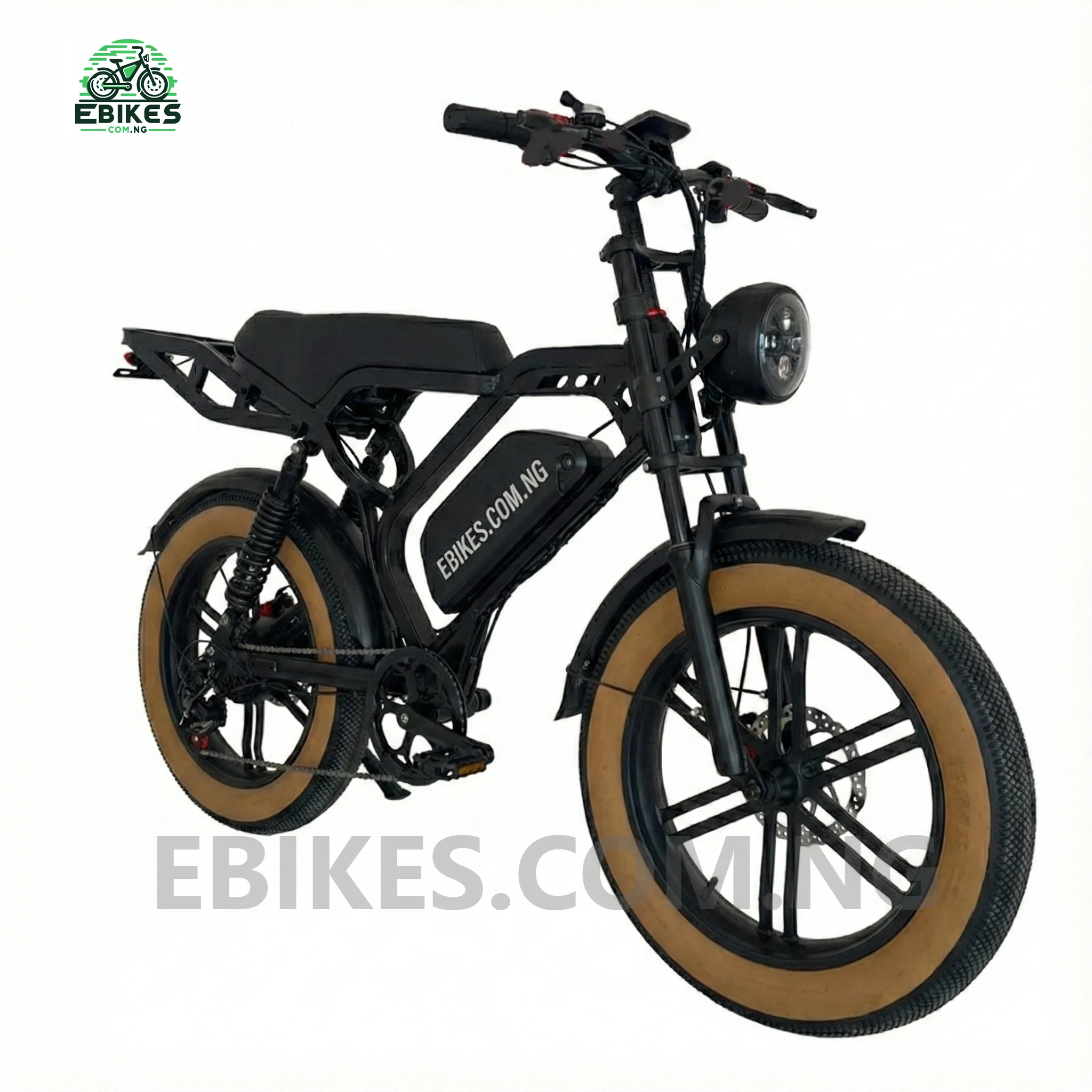 20" 800W Powerful Fat Tire Off-road & Dirt Electric Bicycle Ebike