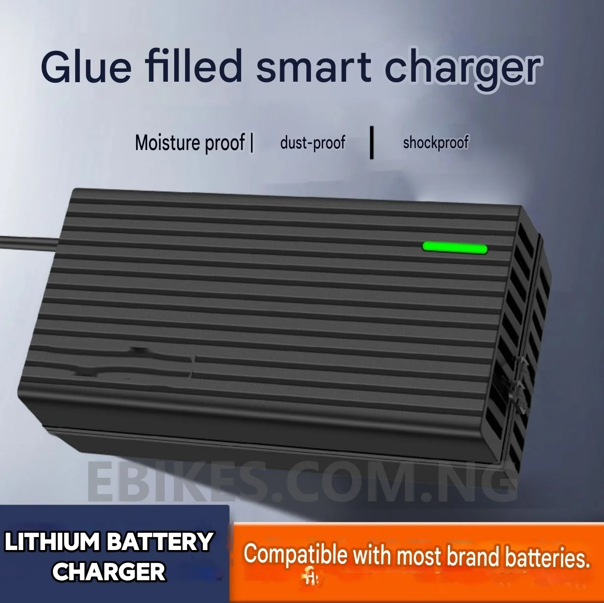 54.6V 3A Lithium Ebike Electric Bicycle 48V Battery Charger With XLR Output